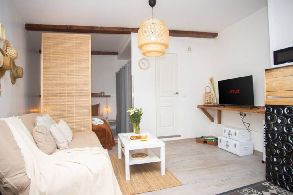 Apartament Le Boheme, Cosy, Hypercentre Grenoble Zewnętrze zdjęcie